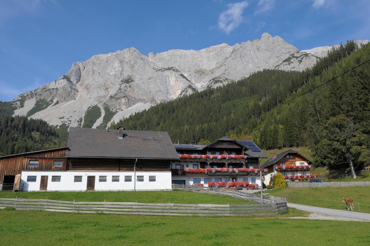 Feichtlehnerhof Bed and Breakfast Ramsau am Dachstein Eksteriør billede